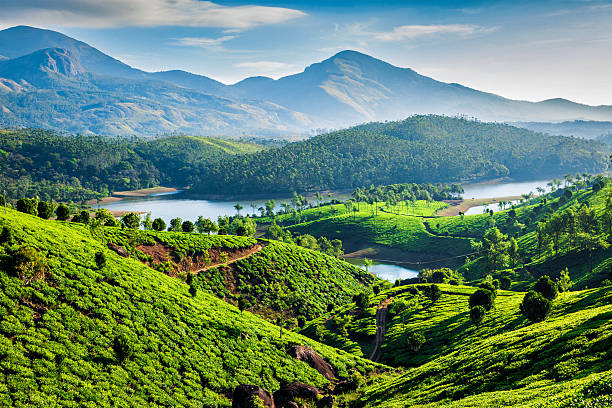 Grand Kerala Tour Package